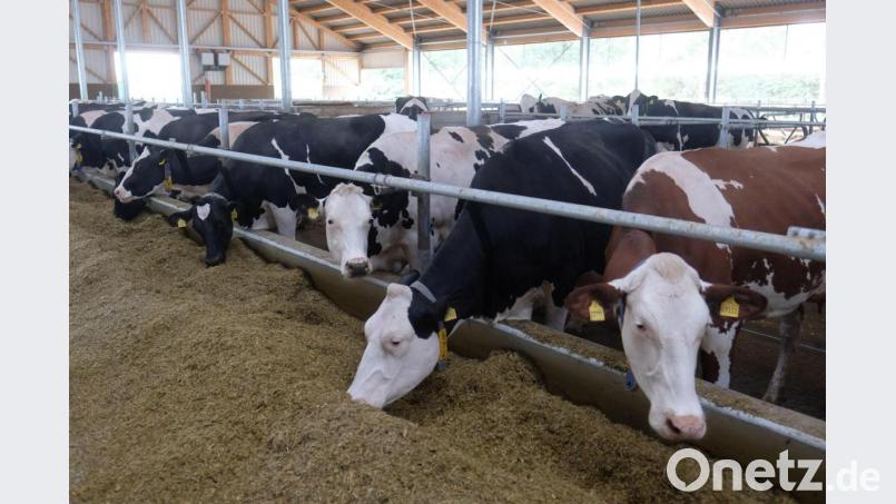 Ziel der Initiative war, den massenhaften Einsatz von bestimmten Antibiotika in der Tiermast zu beenden, um Resistenzen vorzubeugen. Bild: Sebastian Willnow/dpa