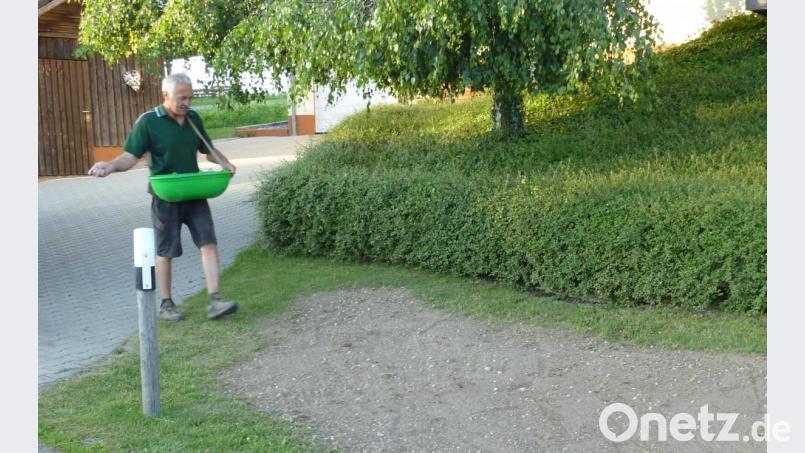 Ein bisschen Geduld war nach der Aussaat (Bild) nötig – aber inzwischen trägt der Streifen Blüten. Bild: ads