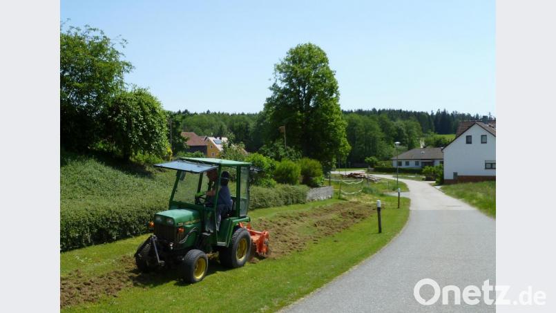 Auf Initiative von Hans Leis wurde von Edelsfelds Bürgermeister Hans-Jürgen Strehl Landschaftsgärtner Alfons Lobinger als Fachmann mit dem Anlegen eines insektenfreundlichen Blühstreifens am Wegesrand beauftragt. Bild: ads