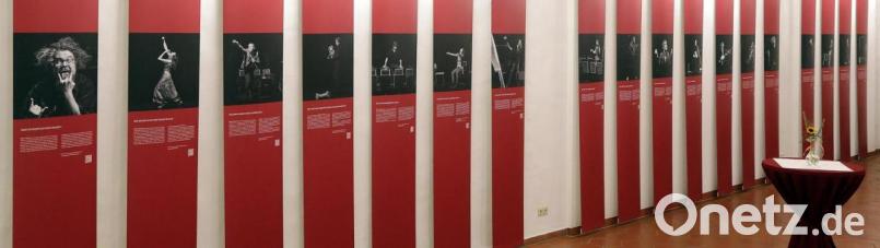 Vernissage Kunst im Foyer - Ambergs Künstler zeigen Gesicht, Foyer Stadttheater. Bild: Wolfgang Steinbacher