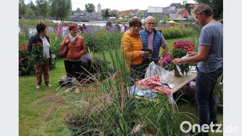 Blumen und Pflanzen waren der Renner. Bild: kro