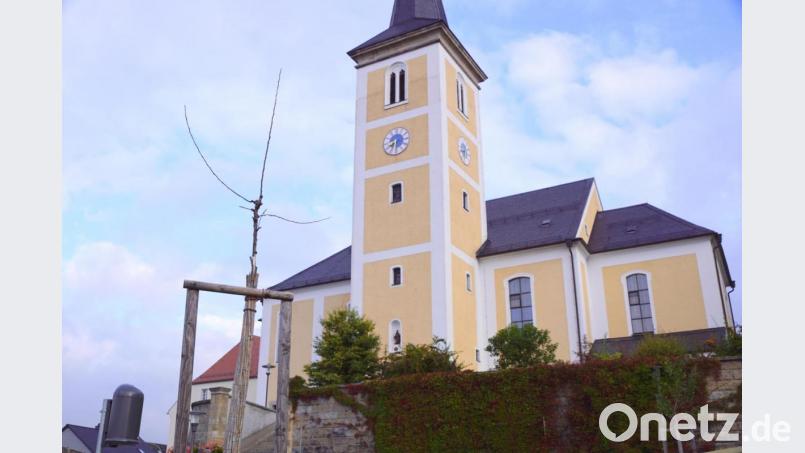 Während vier Bäume im kräftigen Grün sprießen und zwei schon reife Früchte tragen, verdorrte der fünfte Setzling in der Daddy-Anlage. Bild: bkr