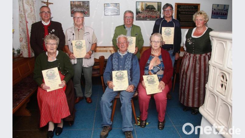 Langjährige Mitglieder erhielten Urkunden. Im Bild vorne von links Marianne Helm, Josef Konz und Edeltraud Konz. Hinten von links Vorsitzender Gerhard Brabec, Fritz Holm, Toni Dutz, Karlheinz Kohl und Zweite Vorsitzende Silke Wolfrum. Bild: wro
