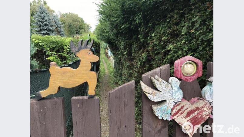 Kleingartenanlage beim Wittgarten Siechenstraße Bild: Gabi Schönberger Bild: Gabi Schönberger