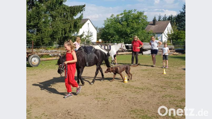 Die Mädchen der Ferienbetreuung schlossen die Pferde in ihr Herz. Besitzerin Andrea Stefinger erklärte ihnen vieles über die Vierbeiner. Bild: gi