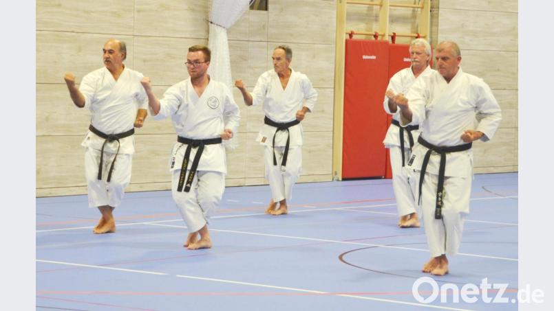 Die bestens ausgebildeten Fachbetreuer sind das starke Rückgrat der Karate-Abteilung des Turnverein. Jetzt erhielten sie gleich drei Auszeichnungen. Bild: doj