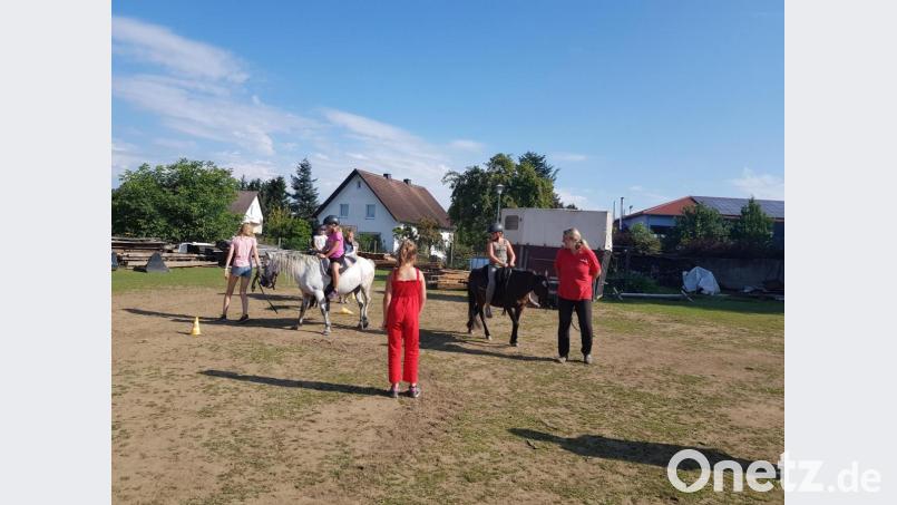 Die Mädchen der Ferienbetreuung schlossen die Pferde in ihr Herz. Besitzerin Andrea Stefinger erklärte ihnen vieles über die Vierbeiner. Bild: gi