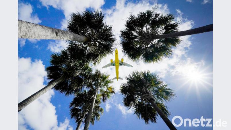 Die USA heben den Corona-Reisestopp für Geimpfte auf. Symbolbild: Gene J. Puskar/dpa