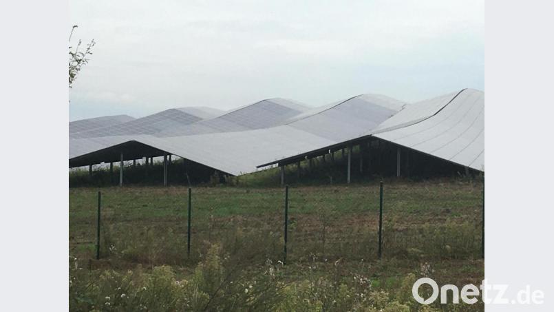 Das ist nicht das Dach des Olympiastadions in München, sondern die PV-Freiflächenanlage bei Wolfring (Gemeinde Fensterbach), eine der größten im Landkreis Schwandorf. Bild: upl