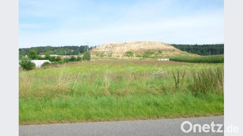 Die Firma Zech Umwelt lagert zwischen den großen Photovoltaikanlagen und der Hanns-Bauer-Straße eigenen Abraum und Ton aus der Tongrube ab. Im Gemeinderat wird eine Stellungnahme des Bergamtes vorgetragen. Bild: ohr