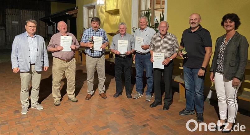 Die Jubilare des CSU-Ortsverbands Neuhaus (von links): Von links: Karlheinz Budnik, Manfred Punzmann, Siegfried Windschiegl, Ernst Schönberger, Johann Kreinhöfner, Albert Mark, Thomas Wilhelm, Brigitte Kreinhöfner Bild: Kappl, Andreas [kap]
