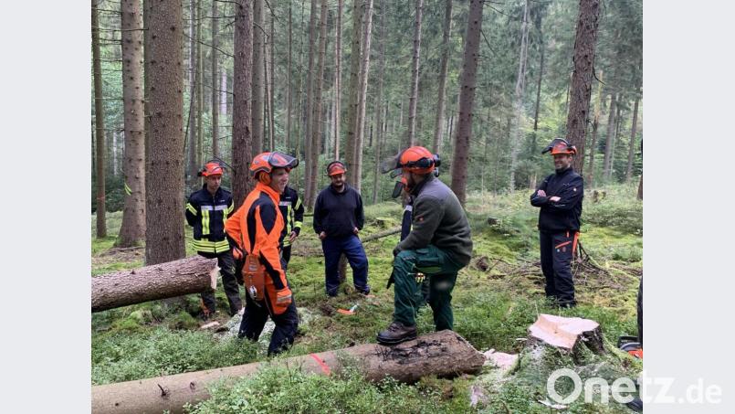 Im Wald erklärte Kreisbrandmeister Peter Prechtl den Lehrgangsteilnehmern alles über Schnitttechnik, Holzspannung und Beurteilung der Lage. Bild: omu