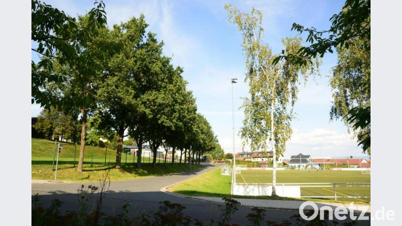 Die von Eichen herabfallenden Eicheln und Äste sorgen angeblich für Unfallgefahren auf dem Kleinspielfeld links der Baumreihe und dem Kunstrasenplatz rechts der asphaltierten Straße. Der Sportverein hätte die Bäume gerne weg. Bild: bey