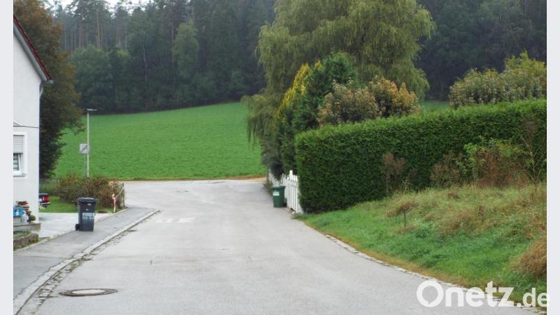 Nach dem Baugebiet ist vor dem Baugebiet. Die Bebauung des Areals Lochnerstraße West ist wohl beschlossene Sache. Bild: e