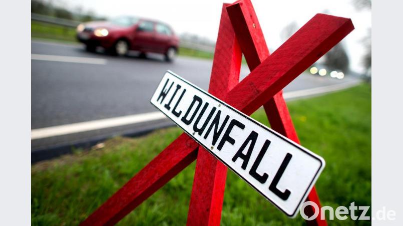 Ein rotes Dreibein mit dem Hinweis auf einen Wildunfall steht an einer Bundesstraße. Symbolbild: Hauke-Christian Dittrich/dpa