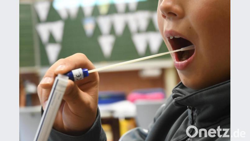 Die Kinder in Weiden und im Landkreis Neustadt sind schon fleißig dabei beim Lollitest. Nur an der digitalen Übermittlung der Ergebnisse hapert es noch. Bild: Gabi Schönberger