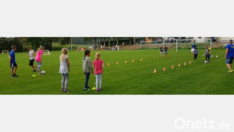 Viel Spaß hatten die Kinder beim Schnuppertraining der Fußballsparte des SV Wildenreuth. Bild: njn