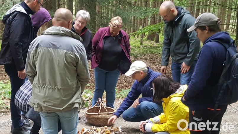 Pilzexperte Stefan Hartwig (Vierter von rechts) sichtet die umfassende Erhebung aller um Waidhaus vorkommenden Pilzsorten. Bild: fjo