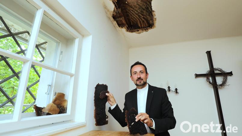 Stefan Fischer, der evangelische Pfarrer in Hirschau an der Stelle, wo sich die Insekten niedergelassen hatten. Bild: Wolfgang Steinbacher