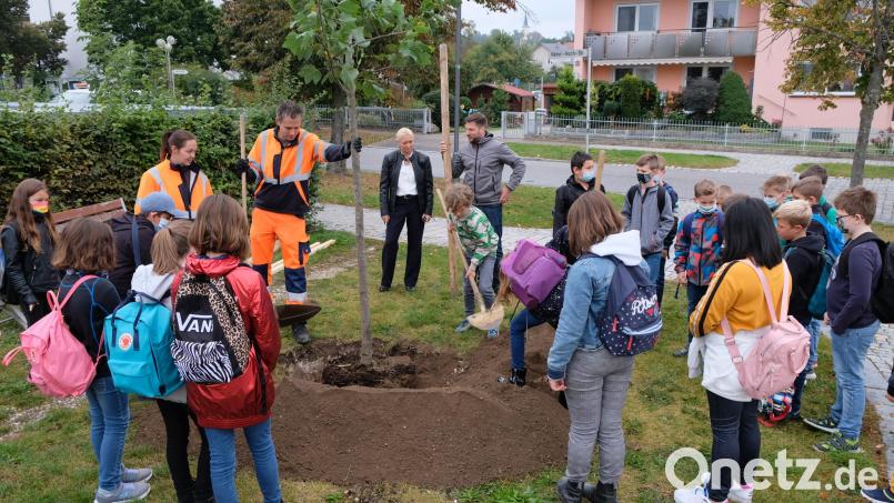 Die Pflanzaktion beim Friedhof wurde durch die Kinder der 4. Klasse tatkräftig unterstützt. Bürgermeister Peter Neumeier (Im Hintergrund) kam dabei eine &quot;tragende Rolle&quot; zu. Seine Stellvertreterin Gabi Wittleben (links daneben) spendierte den Tulpenbaum. Baufhofgärtnerin Yvonne Krause und Christopher Kurz hatten die Regie bei der Pflanzaktion inne. Bild: mab