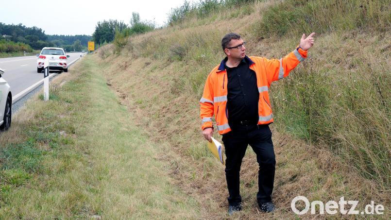 Stefan Noll vom Staatlichen Bauamt Amberg-Sulzbach erklärt, warum es für den Laien künftig zuweilen &quot;ein bisschen unordentlich aussieht&quot; am Straßenrand – weil Bereiche bewusst nicht gemäht werden. Bild: Stephan Huber