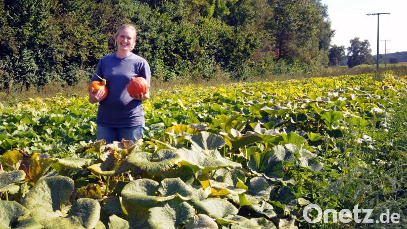 Anna Ulrich vom Laubhof hat sich heuer erstmals an den Anbau von Kürbis gewagt. Markenzeichen der Pflanzen sind die großen Blätter und die langen, sehr rankfreudigen Triebe. Bild: Stephan Huber