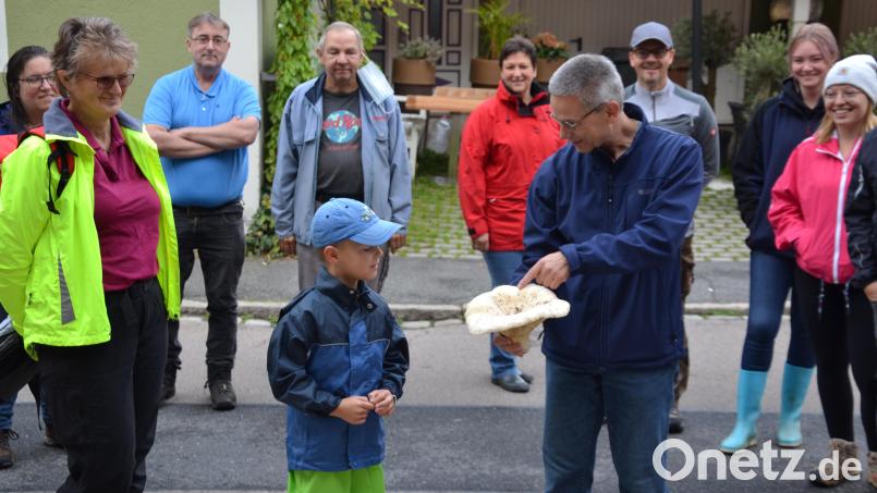 Pilzsachverständiger Stefan Hartwig hatte einen großen Pfeffermilchling mitgebracht, der von den Teilnehmern bewundert wurde. Auch der junge Mann interessierte sich für den Pilz, denn früh übt sich, was ein echter „Schwammerer“ werden will. Bild: gi