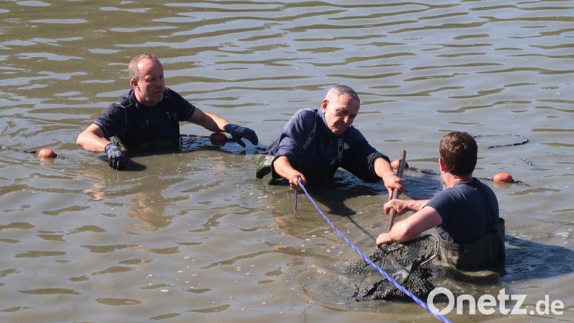Nur keine Panik: Ex-Wasserballtrainer Irek Luczak und Alt-Oberbürgermeister Kurt Seggewiß stecken fest. Bild: Kunz