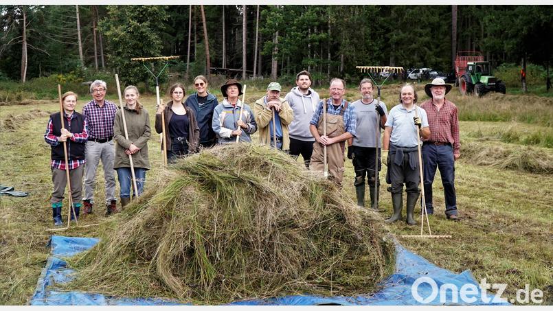 Die Helfer von der Bund-Naturschutz-Kreisgruppe bei der jährlichen Pflegeaktion auf der Orchideenwiese bei Konnersreuth. Bild: Luis Waldmüller/exb