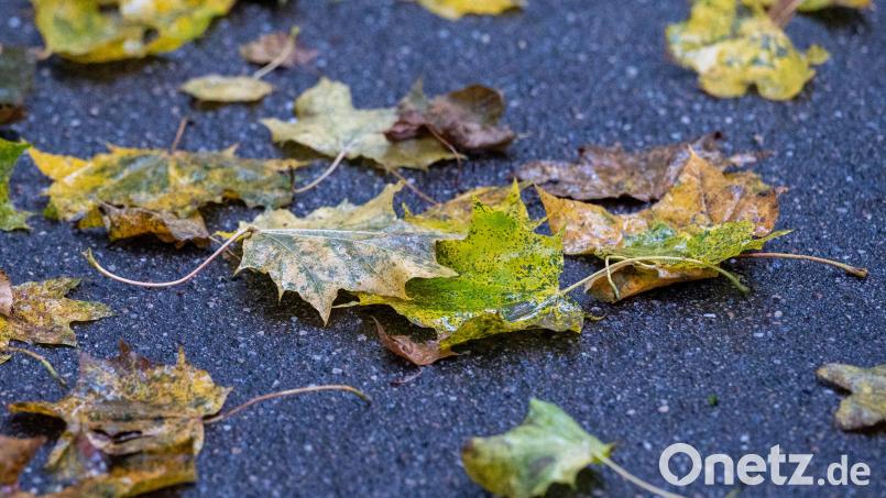 Herbstlich gefärbte Blätter liegen auf einem Weg. Auf laubbedeckte Fahrbahnen nimmt der Bremsweg erheblich zu. Symbolbild: Armin Weigel/dpa