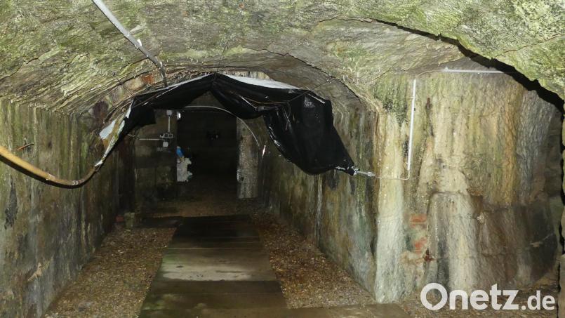 Von den Felsenkellern im Scheunenviertel, über Malzhaus und Taubnschuster bis zur Braustätte des Kommunbier-Vereins soll der künftige Bierweg in Eschenbach führen. Bild: rn