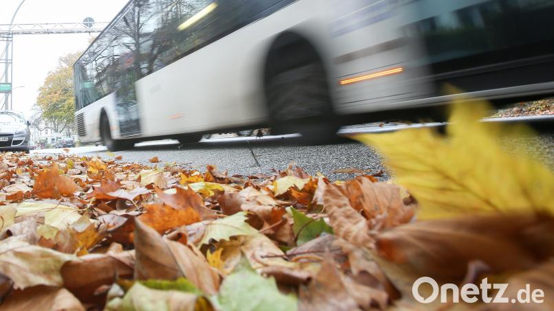 Die dunkle Jahreszeit hat begonnen - der Herbst ist eingezogen. Buntes Laub und morgendlicher Nebel sind allerdings nicht nur schön anzusehen, sondern bergen auch Gefahren im Straßenverkehr. Symbolbild: Bodo Marks/dpa