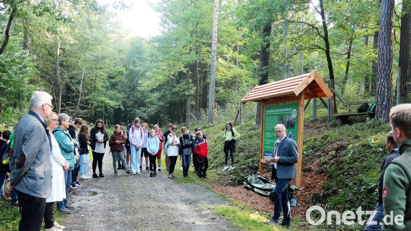 Im Kemnather Herrenholz enthüllte Bürgermeister Roman Schäffler (Dritter von rechts) mit zahlreichen Gästen vier Tafeln mit vielen Informationen zu den Themen Schulwald, Zukunftswald und Waldkindergarten. Bild: stg