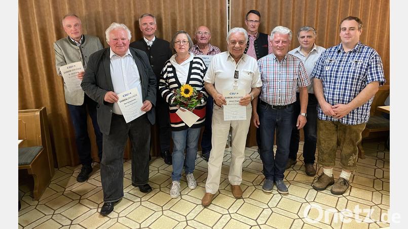 Die anwesenden Jubilare und der neue Ehrenvorsitzende: (von links) Ulrich Jung, Karl Schwemmer, CSU-Kreisvorsitzender Harald Schwartz, Agathe Schriml, Josef Lederer, Johann Steger, Michael Schübel, Eugen Eckert, Günther Götz und Ortsvorsitzender Bernhard Hinteregger. Bild: Klaus Riede/exb