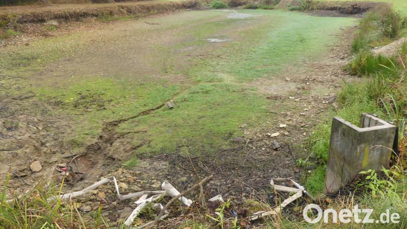 Die Weiheranlage in Apfelbach wurde vom Löschteich zum Dorfweiher umgewidmet und benötigt daher keinen Schutzzaun. Nach dem Abtrocknen des Weiherbodens soll die Böschung saniert werden und das Umfeld eine Verschönerung erhalten. Bild: rn
