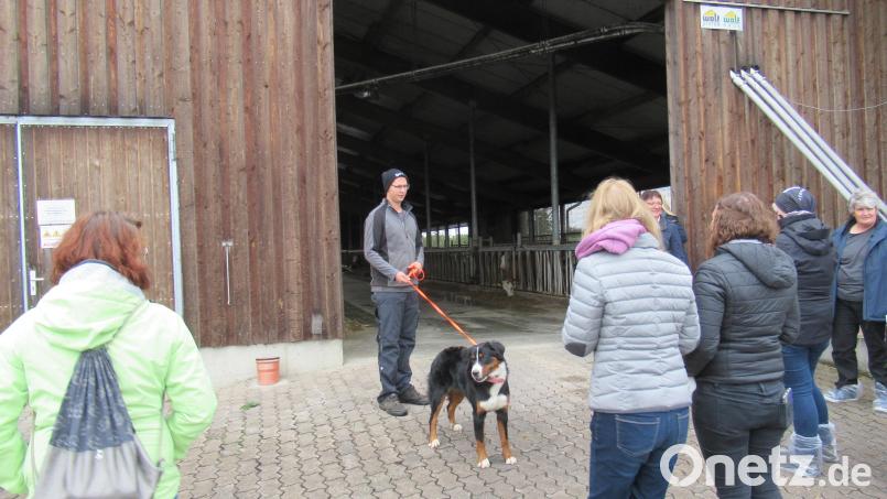 Kevin Weigel führt die Schüler der Hauswirtschaftsschulen Tirschenreuth und Weiden über den Hof. Bild: Johanna Schönberger/exb