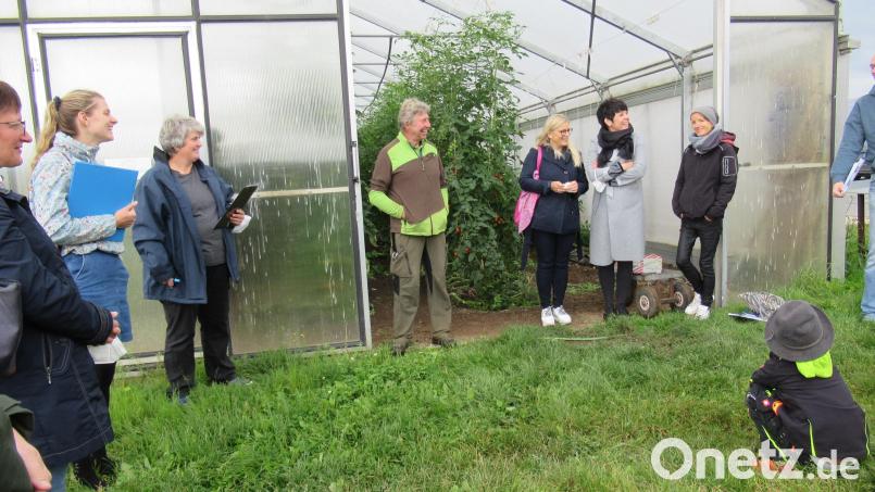 Eine Station bei der Lehrfahrt war der Gemüsebetrieb Grillmeier. Johann Grillmeier erklärte wie die Tomaten im Gewächshaus angebaut werden. Bild: Johanna Schönberger/exb