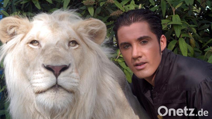 Der traditionsreiche Circus Krone in München trauert um seinen weißen Löwen King Tonga. Bild: Circus Krone/dpa