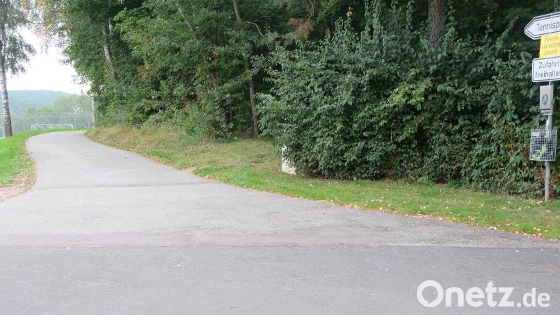 Auf dem Sportgelände des TSV Stulln versperren immer wieder parkende Autos zwischen altem Sportplatz und dem Wald den Rettungsweg. Bild: ohr