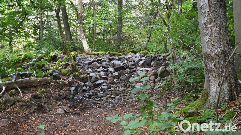 Der Ringwall am Rauhen Kulm ist wieder aufgebaut. Die Untere Denkmalschutzbehörde am Landratsamt Neustadt/WN hatte nach der Beschädigung des Bodendenkmals dem Verursacher &quot;die Wiederherstellung des vorherigen Zustands&quot; zur Auflage gemacht. Bild: Gabi Schönberger