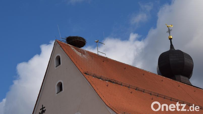 Der Kamerablick ins Storchennest auf der Klosterkirche rief nun den Landesdatenschutzbeauftragten auf den Plan. Bild: bnr