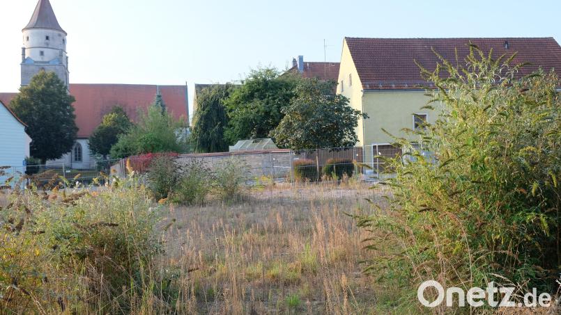 Nach dem Abbruch des alten Feuerwehrhauses vor knapp vier Jahren macht sich auf dem Gelände zwischen der Bundesstraße und der Altstadt eine unansehnliche &quot;Wildnis&quot; breit. Auf dem Areal soll einmal das neue Pfarrheim der Pfarrei St. Laurentius entstehen. Bild: do