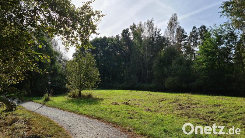 Jugendliche wünschen sich zum Beispiel am Sandfurthweg eine Pumptrack-Strecke, möglicherweise am alten Standort. Die Verwaltung soll zunächst einmal die Kosten prüfen. Bild: sne