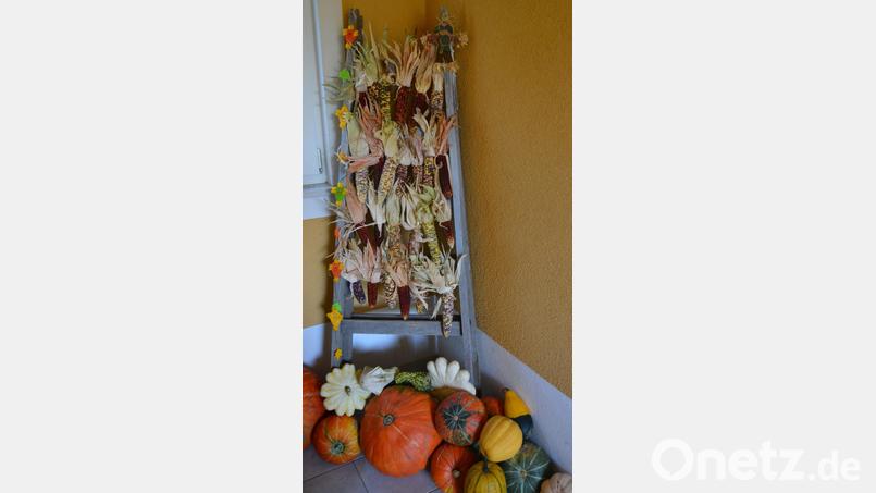 Bunte Herbstkreationen für Wohnung, Haus und Garten Bild: do