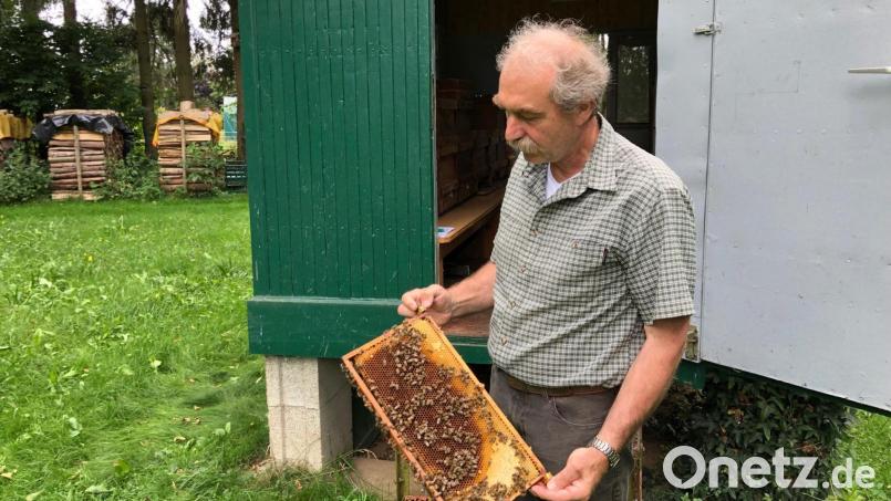 Albert Sittl gab einen Situationsbericht über das Bienenjahr. Archivbild: mis/exb