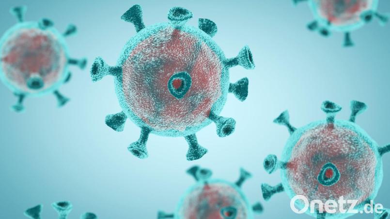 Das Coronavirus erwischte erneut vier Menschen im Landkreis Neustadt/WN. Bild: dowell