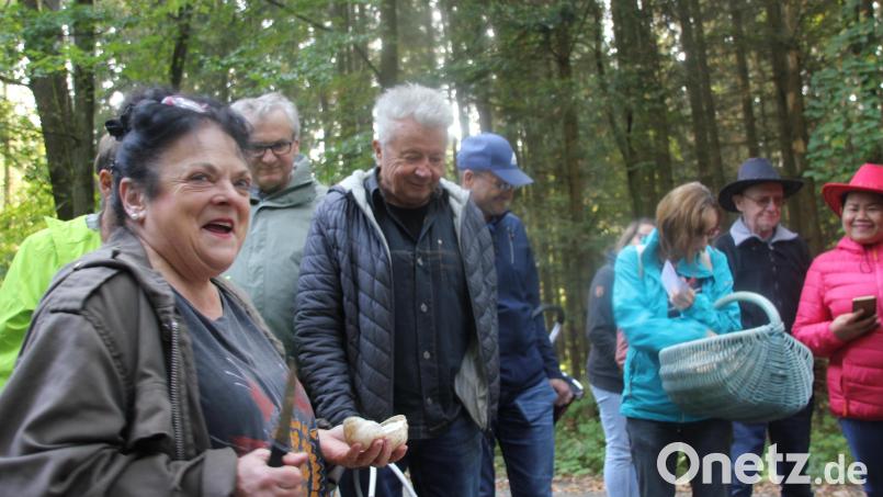 Die Pilzsachverständige der DGfM Martina Franke vermittelte den über 30 Teilnehmern der Pilzwanderung von Oberpfalz Medien enormes Wissen über bekannte und unbekannte Pilze und zeigte sich als regelrechtes wandelndes Pilzlexikon. Bild: ads