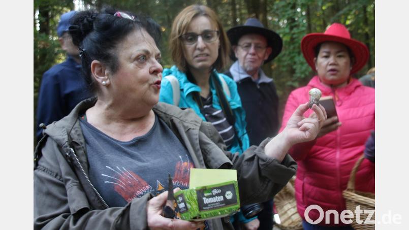 Die Pilzsachverständige Martina Franke vermittelt den über 30 Teilnehmern der Pilzwanderung von Oberpfalz-Medien enormes Wissen über bekannte und unbekannte Pilze und zeigt sich als wandelndes Pilzlexikon. Bild: ads