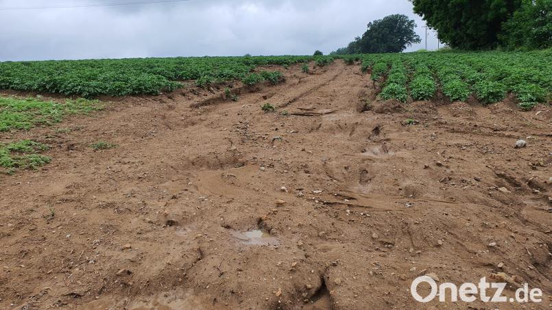 So etwas soll durch boden:ständig-Projekte vermieden werden: ausgeschwemmter Acker nach einem Starkregen bei Störnstein. Bild: Gemeinde Störnstein/exb