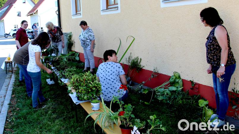 Ein vielseitiges Angebot wartete vor dem Feuerwehrgerätehaus in Kirchenreinbach auf interessierte Gartenliebhaber. Bild: ds